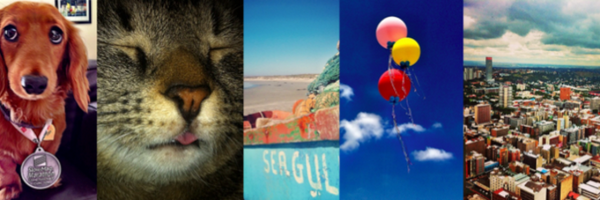 Annaling Profile Banner