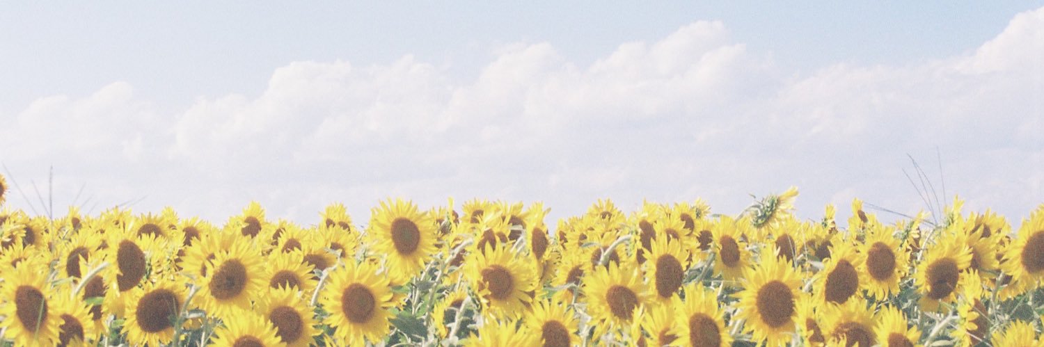 n_ofnof's profile banner image