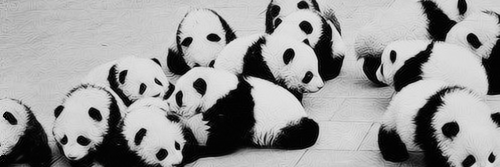 _cacaastro's profile banner image