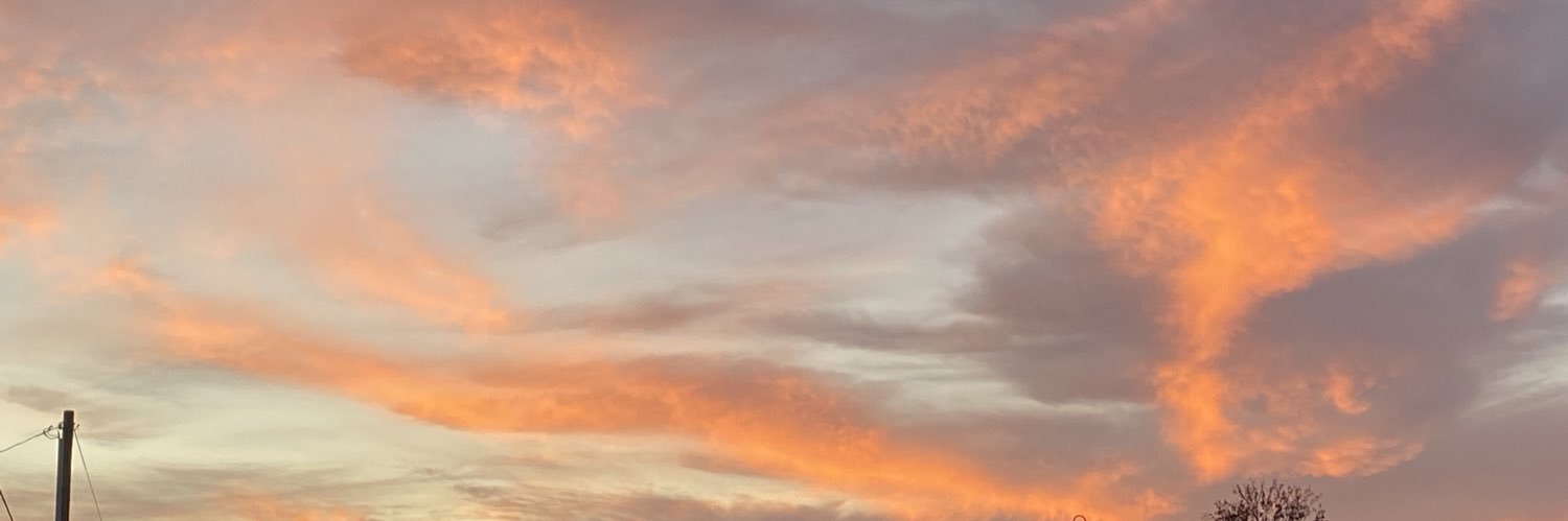 Peachy🍑♌️ banner