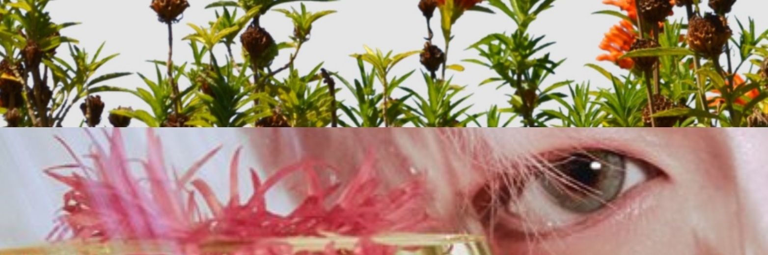 yumimiking's profile banner image