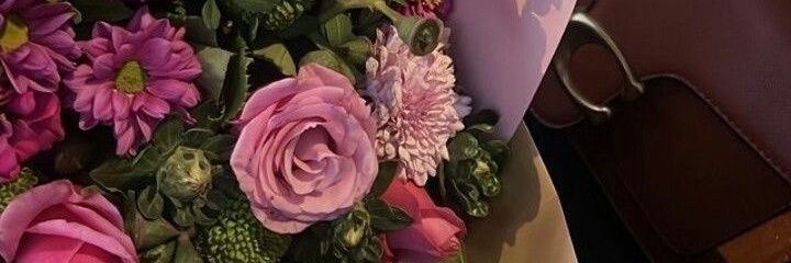 LE ROSSIGNOL 🇧🇯 banner