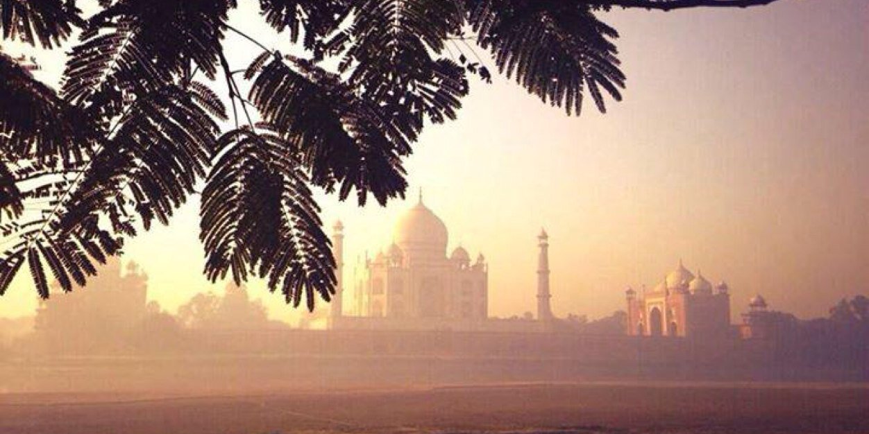vibha0212's profile banner image