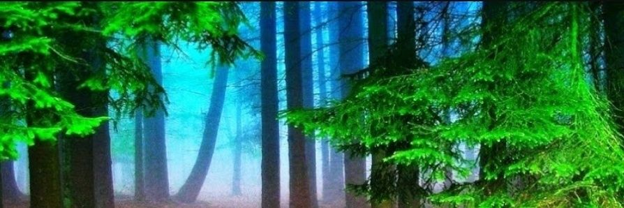 Barefeats33's profile banner image