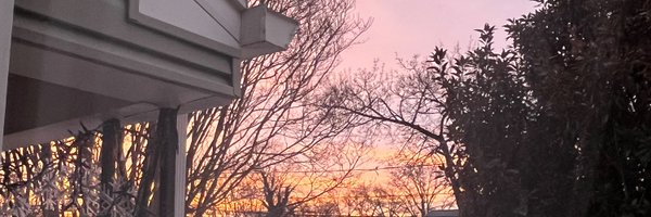 Leaflex_ Profile Banner