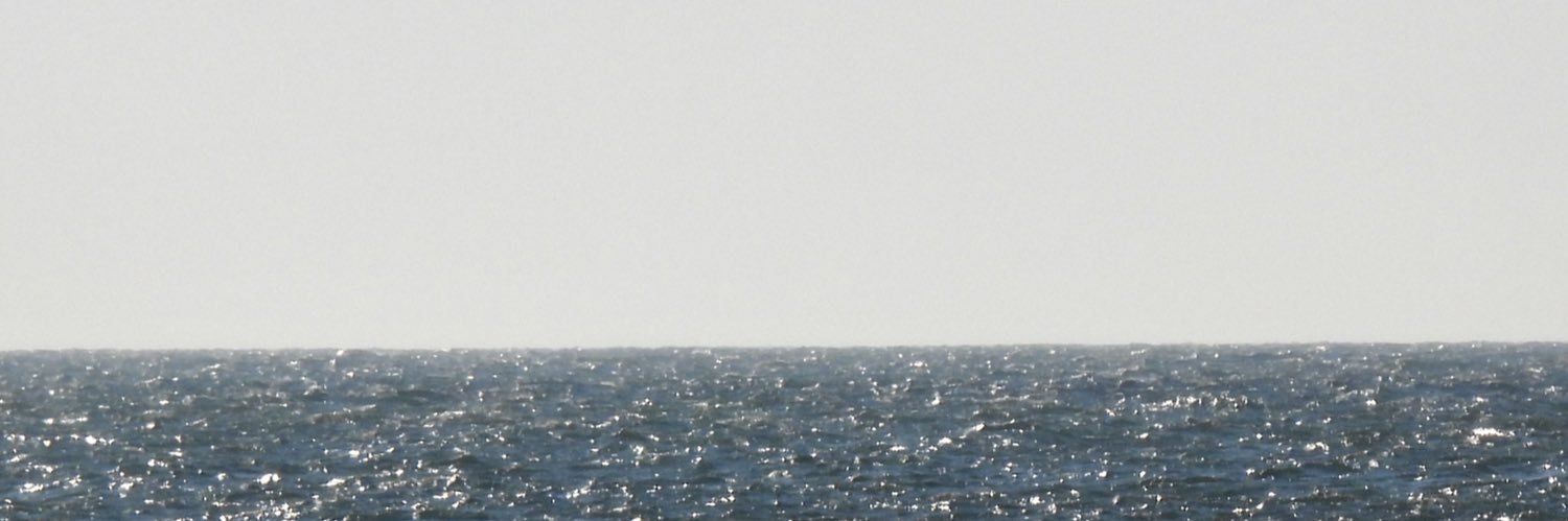 Zach banner