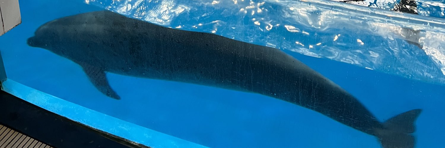 SlotTols's profile banner image