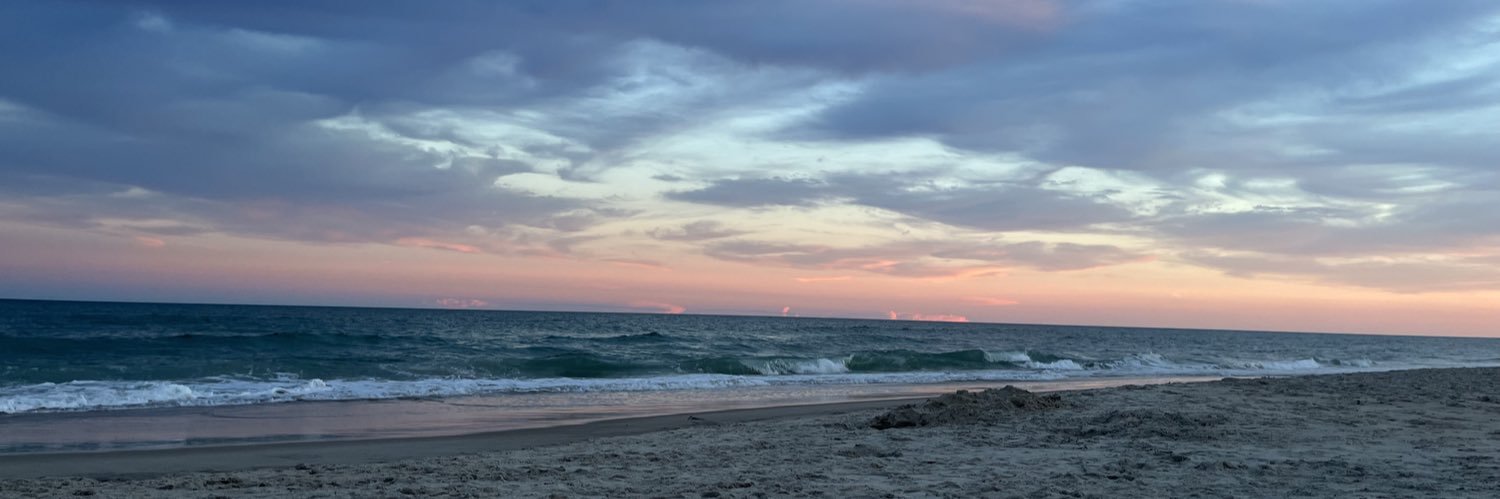 Megan banner