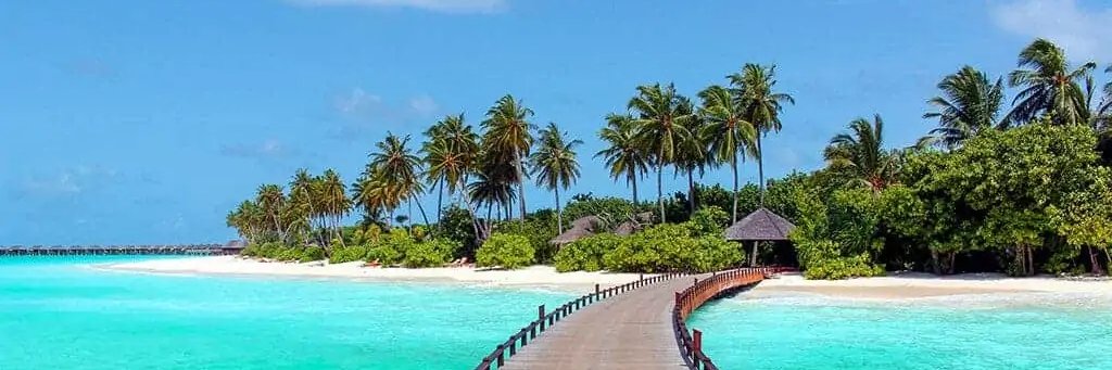 Félix - Trading banner