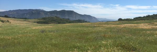 SarahNassauer Profile Banner