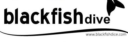 blackfishdive's profile banner image