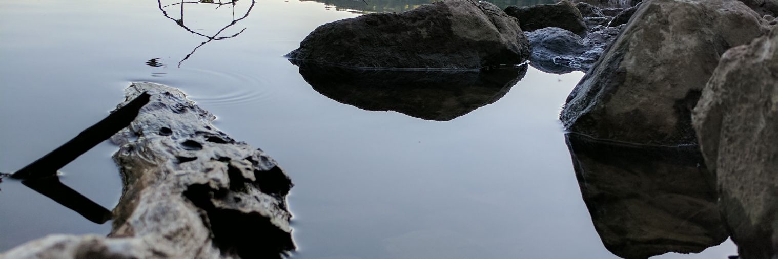 TheOriginalPWD's profile banner image