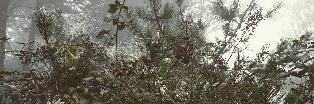 cortlandj's profile banner image