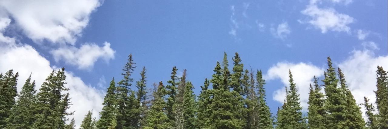 jennsmithifer's profile banner image