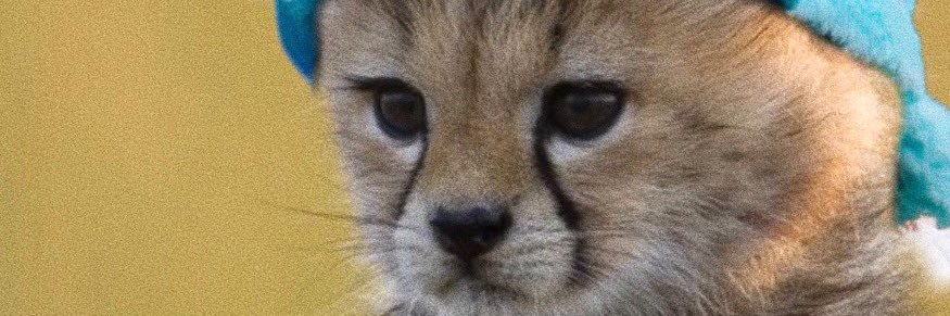 donpkh_'s profile banner image