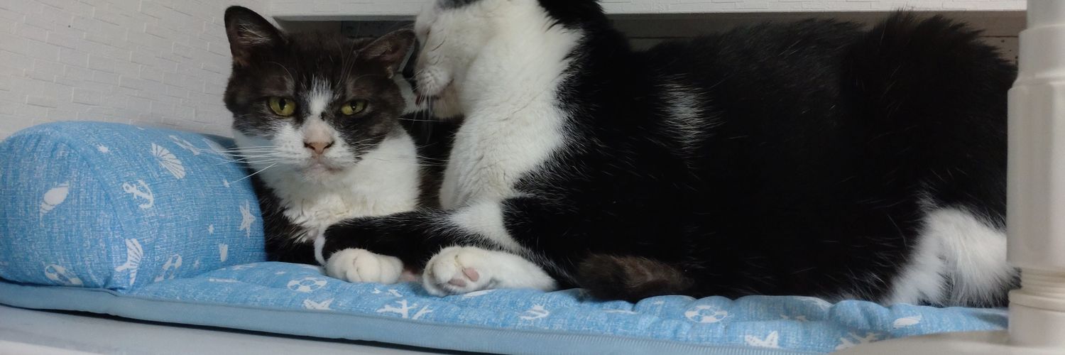 八雲＠社会不適合者 banner