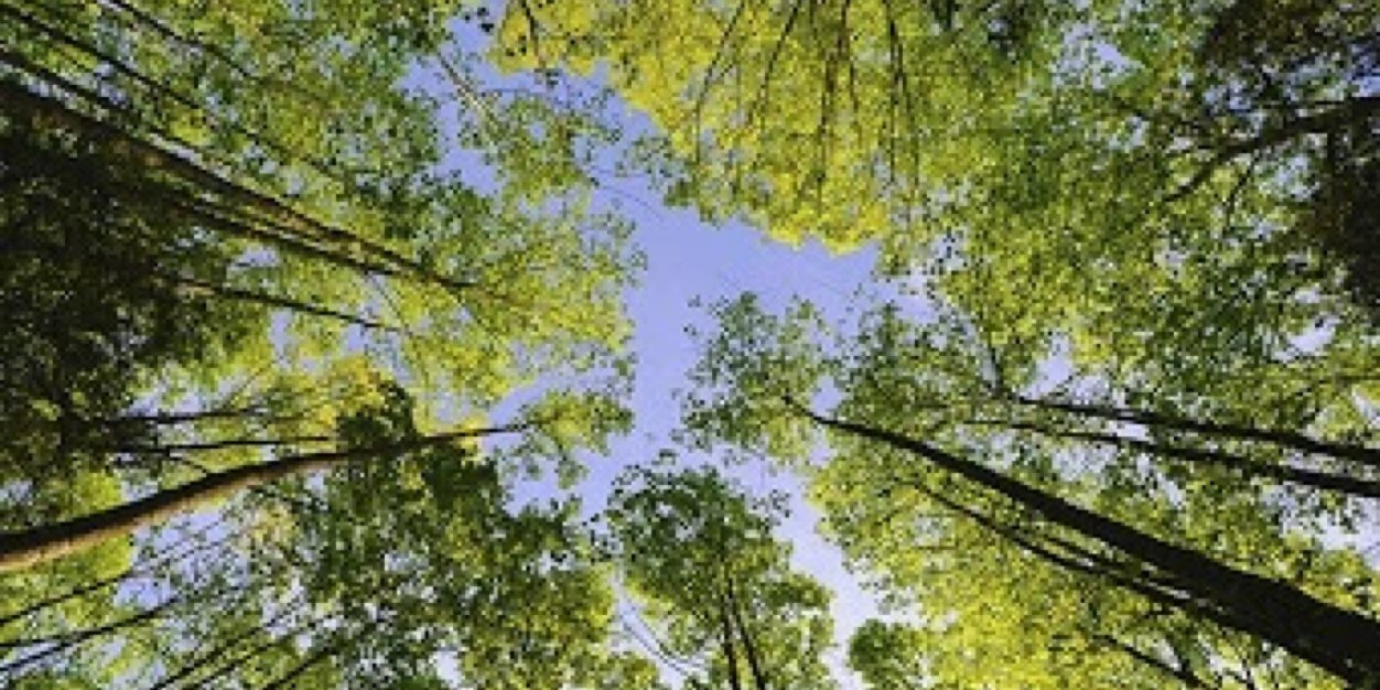 tv3quarter's profile banner image