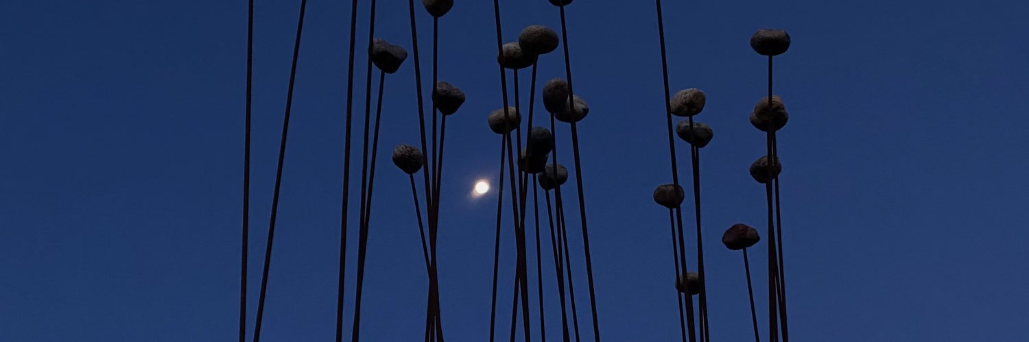 solmilano7's profile banner image