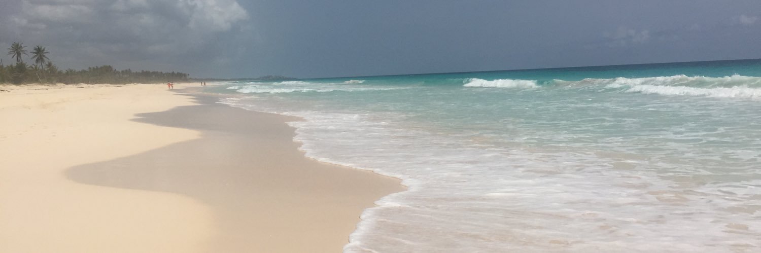 Met_katykramer's profile banner image