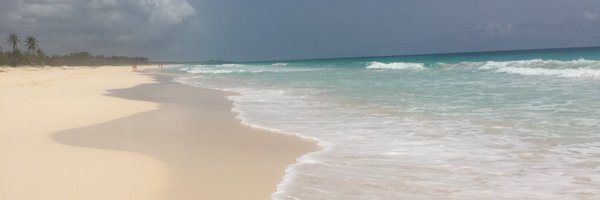 Met_katykramer Profile Banner