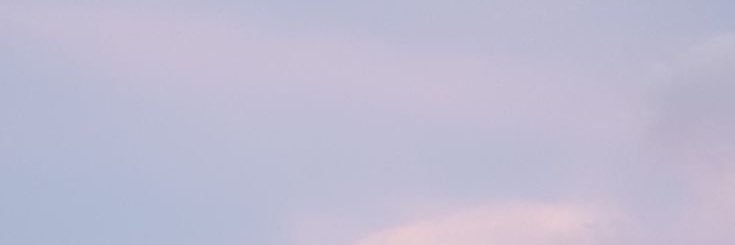 たぬ banner