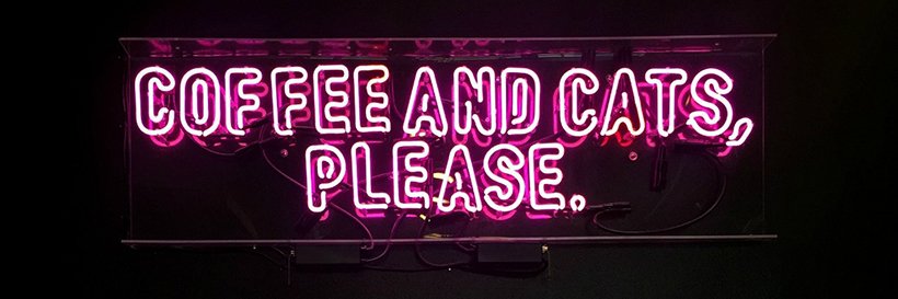 László Viktória 🐈 banner