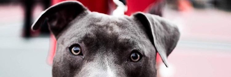 びⓅ✯Ⓛ✯Ⓜ₃び's banner