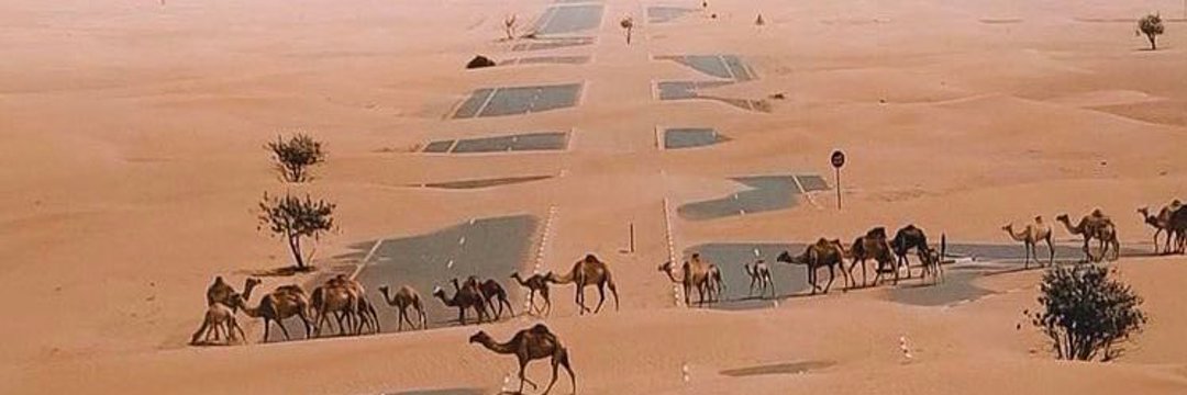 مشخاط 🐪 banner