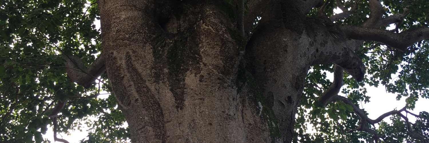 slaub's profile banner image