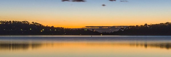 saullevin Profile Banner