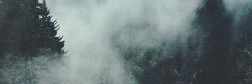 xLuanaBella's profile banner image
