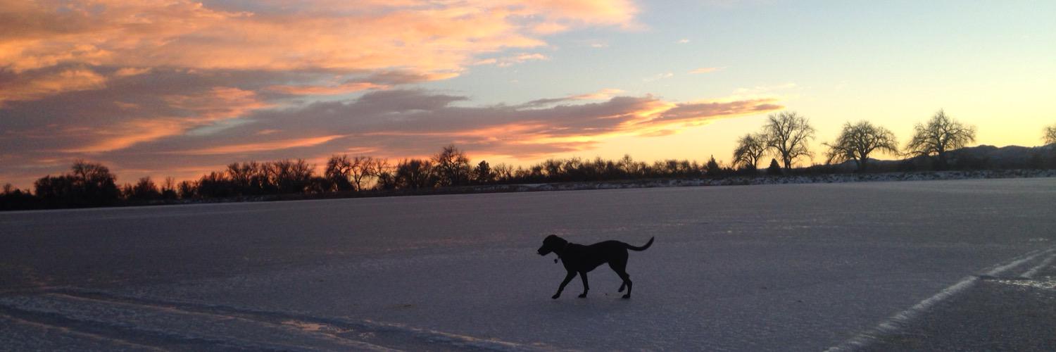 WillyRussellH's profile banner image