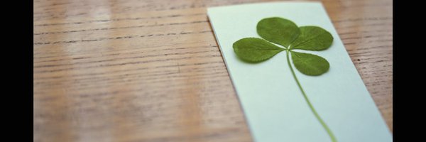 midori_gray Profile Banner