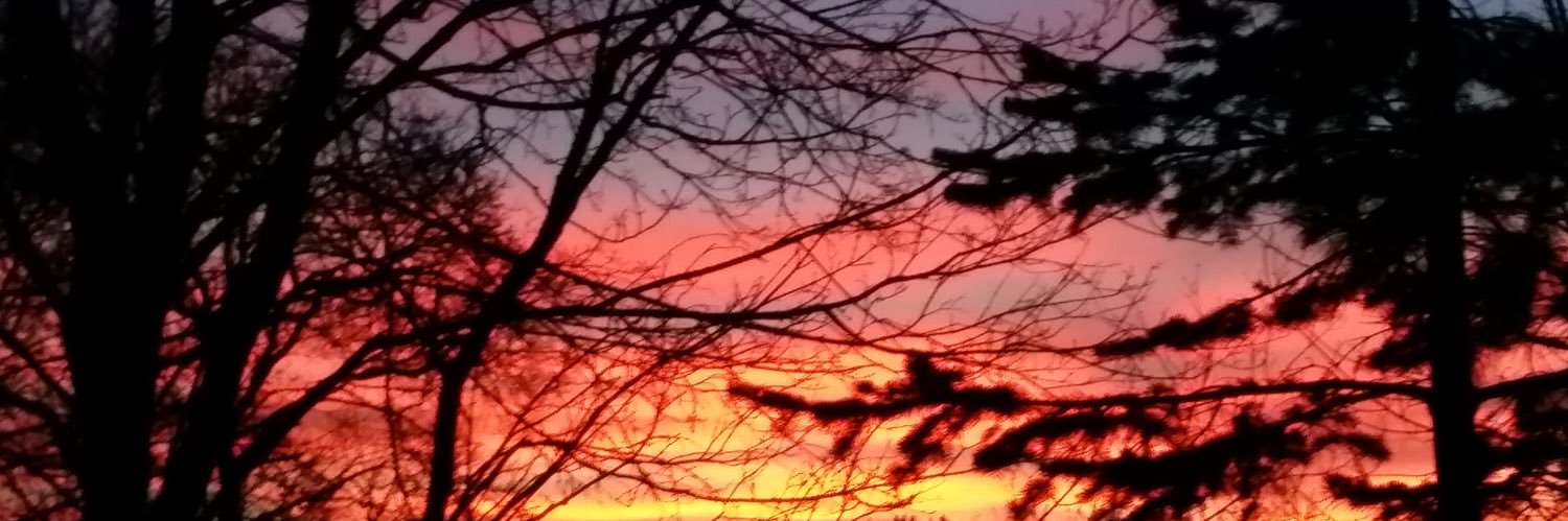 ml_skogen's profile banner image