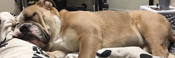 sashatherusski's profile banner image