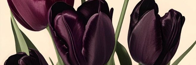 D 💘 banner