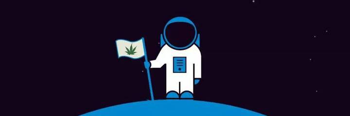 I'm the Plug banner