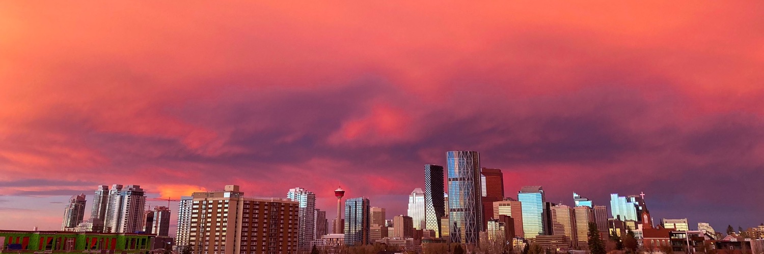 Cassie Molyneux banner