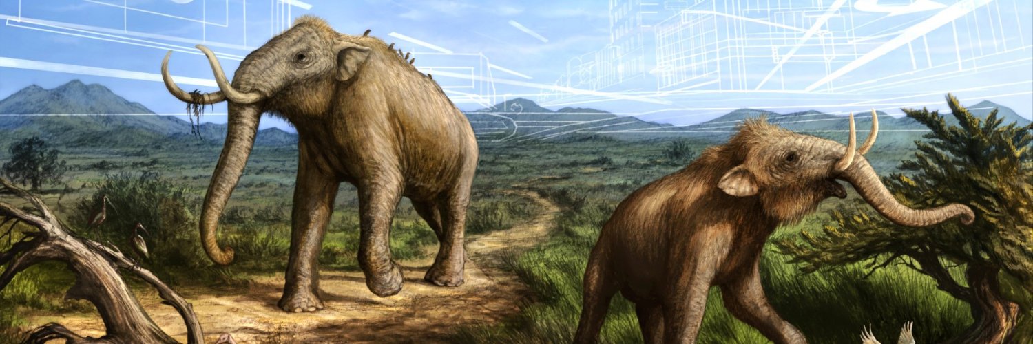 Cogstone's profile banner image