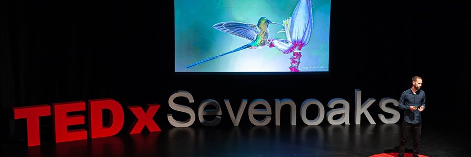 Jake Bicknell banner