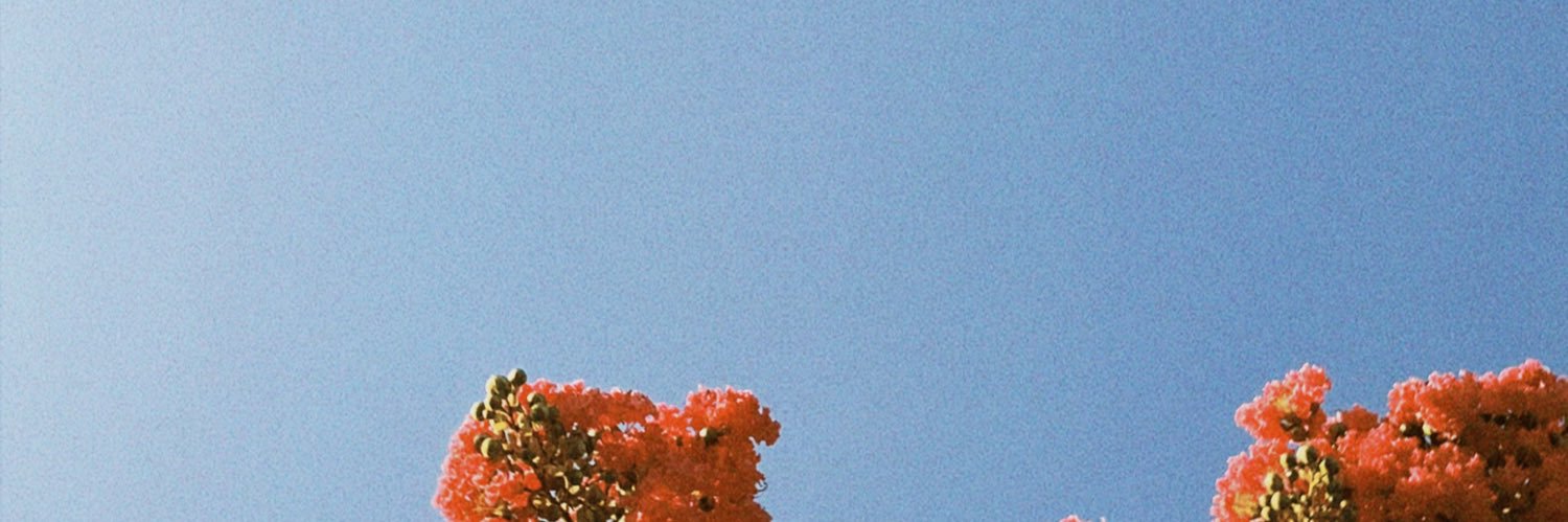 tozyepki's profile banner image