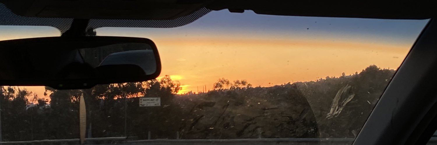 taraalenaee's profile banner image