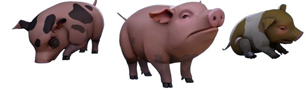 hooggers's profile banner image