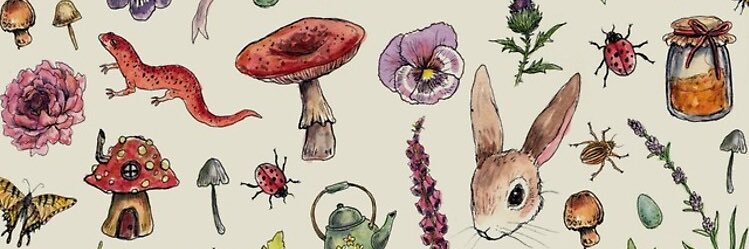 LE1164941's profile banner image