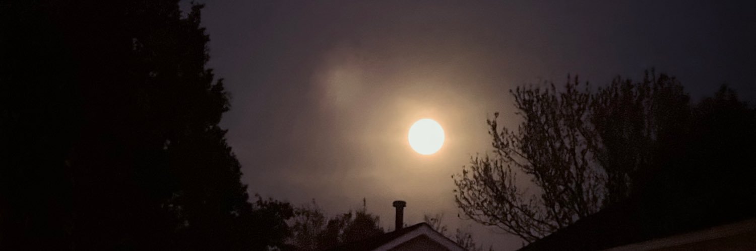 mghtog's profile banner image