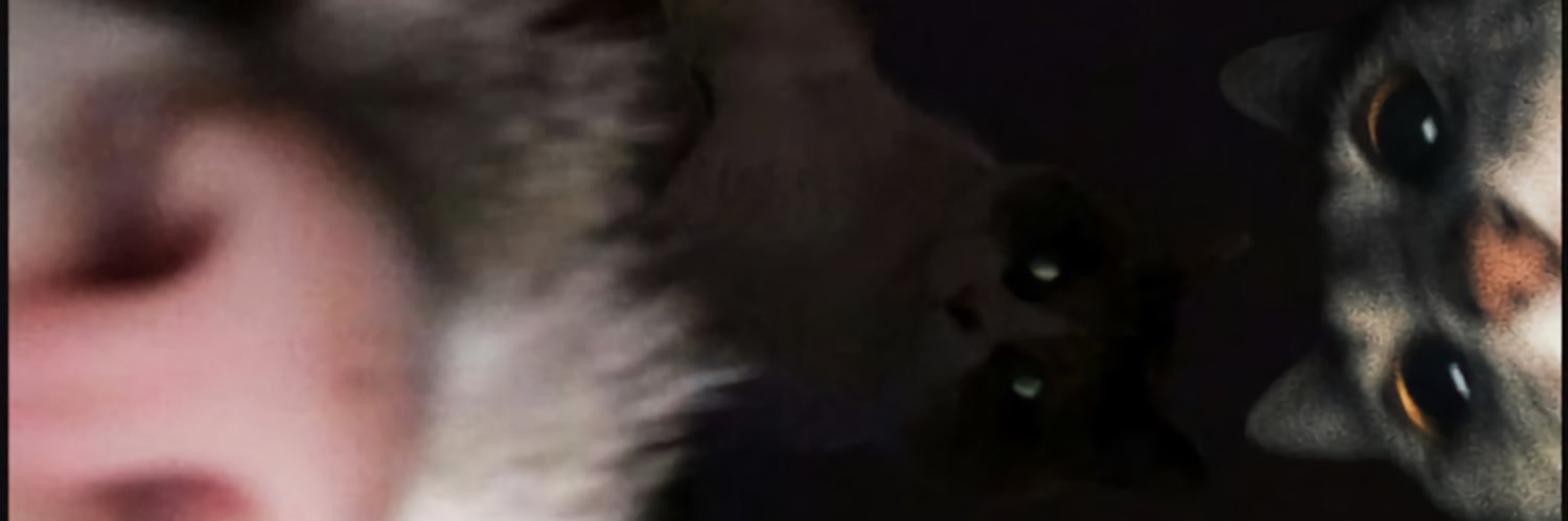 dope boy fresh banner