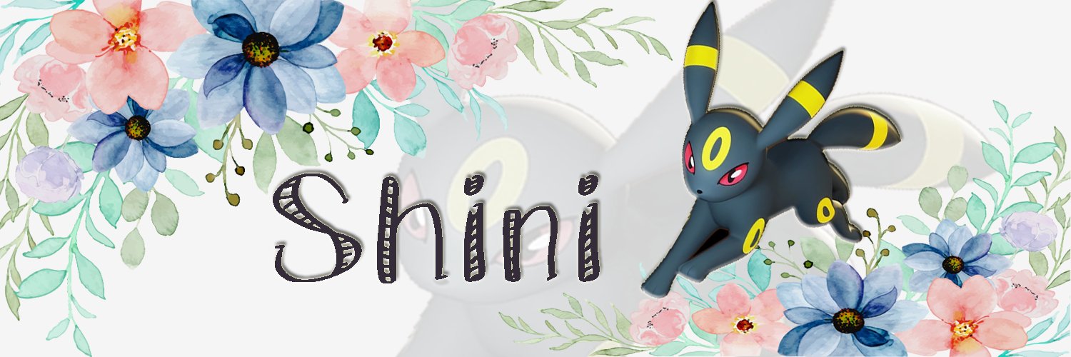 Shini banner