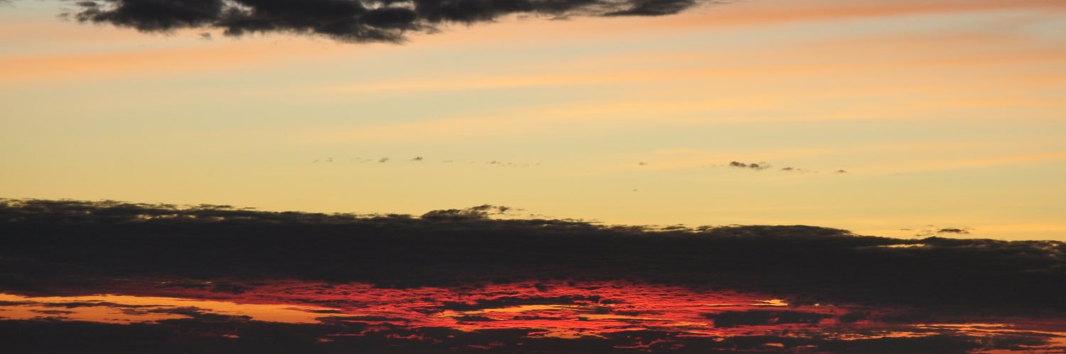 PickeringLiam's profile banner image