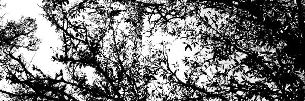 PauAfg Profile Banner