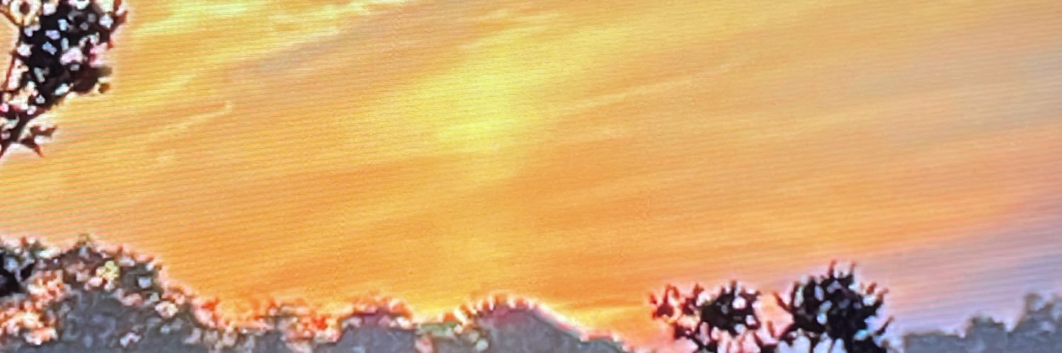 evangeline31w's profile banner image